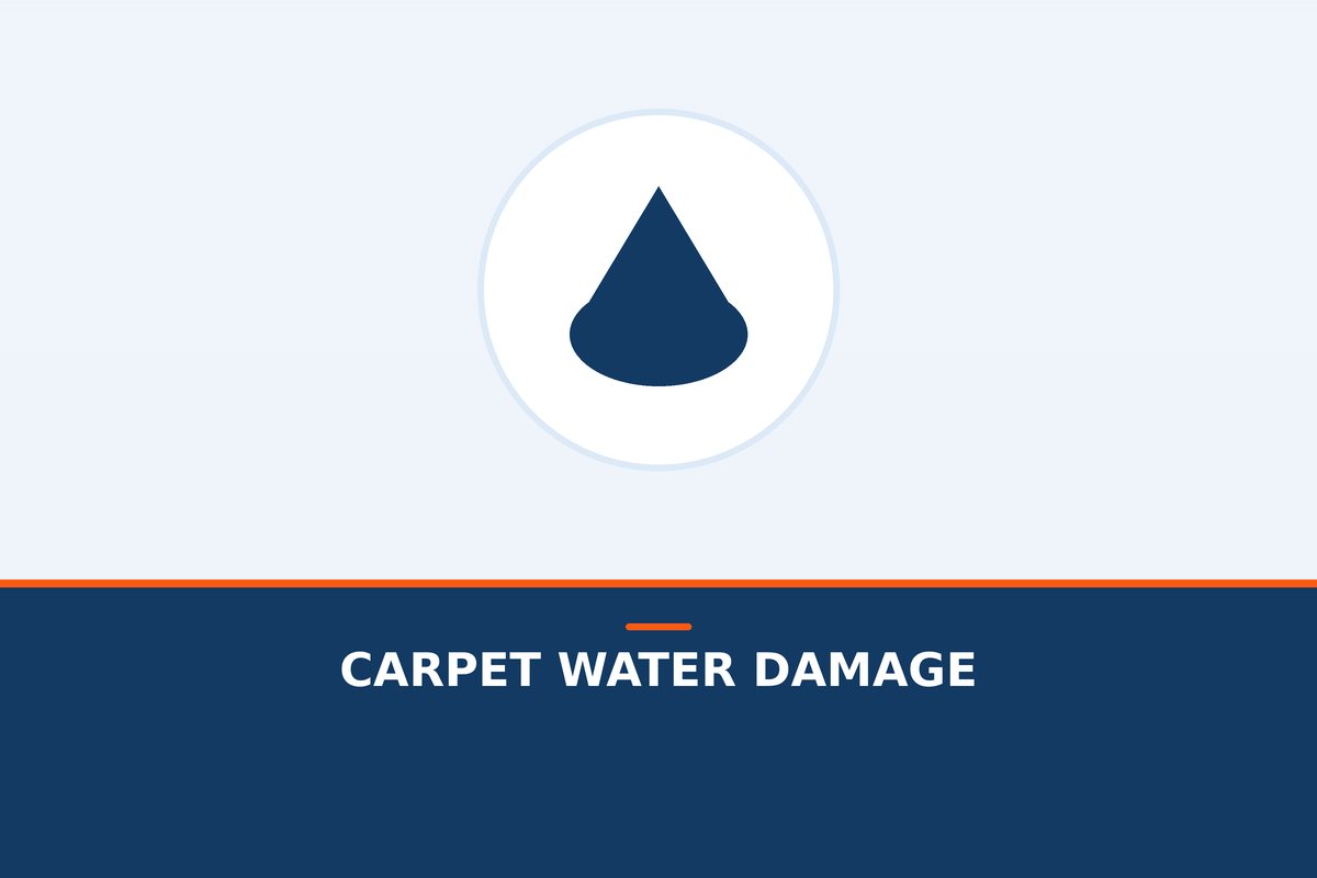 Wet carpet grows mold fast. Get fast extraction and drying, and an honest call on what can be saved.