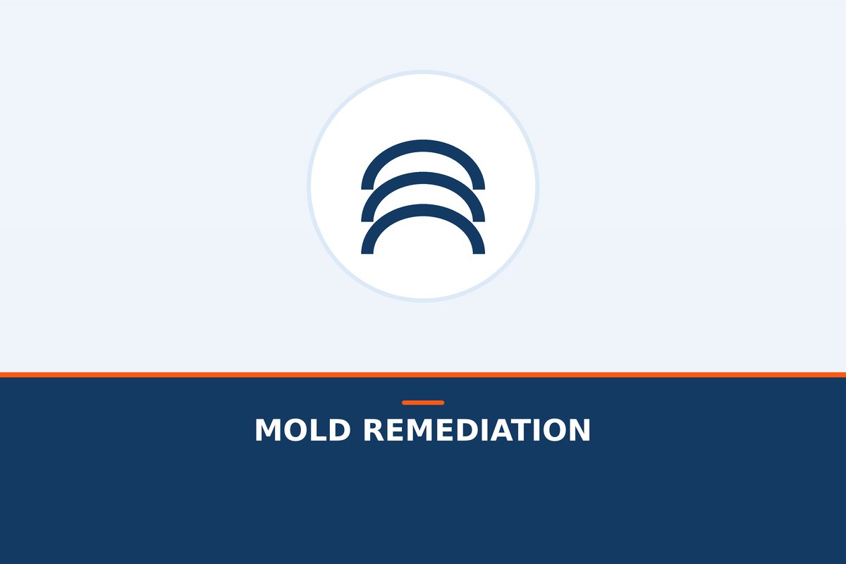 Florida humidity grows mold fast. Get a real inspection, safe removal, and a plan to keep it from coming back.